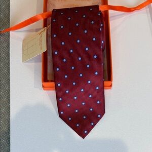 Dolcepunta Elegant Red and Blue Polka Dot Tie